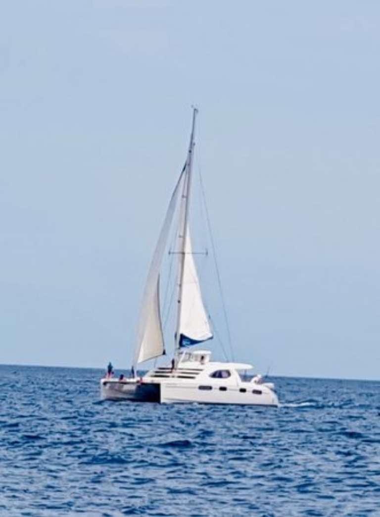 Endless Summer Cruises