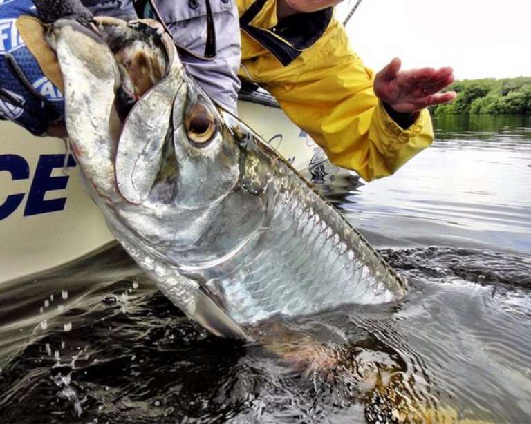 Caribbean Outfitters