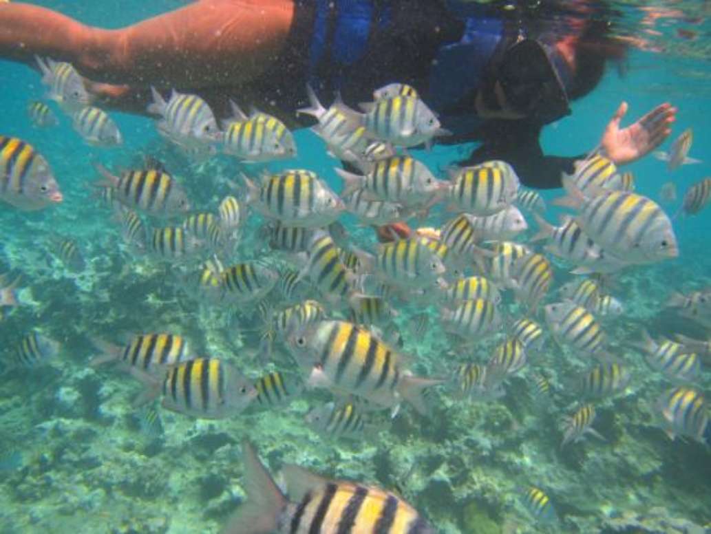 Aqua Center Water Sports & Dive Center