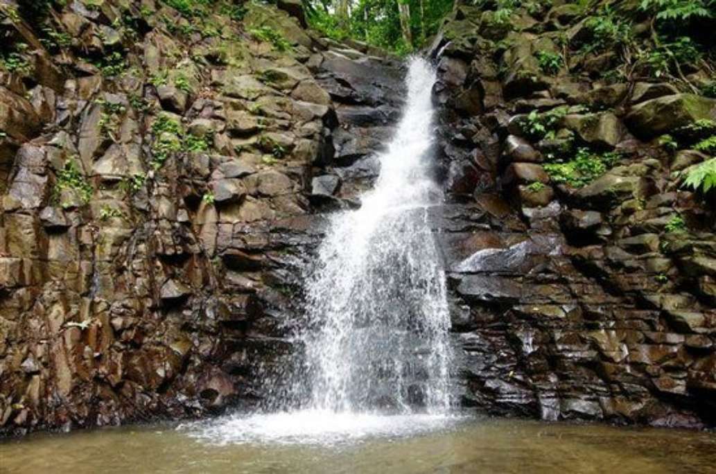Paradise Excursions