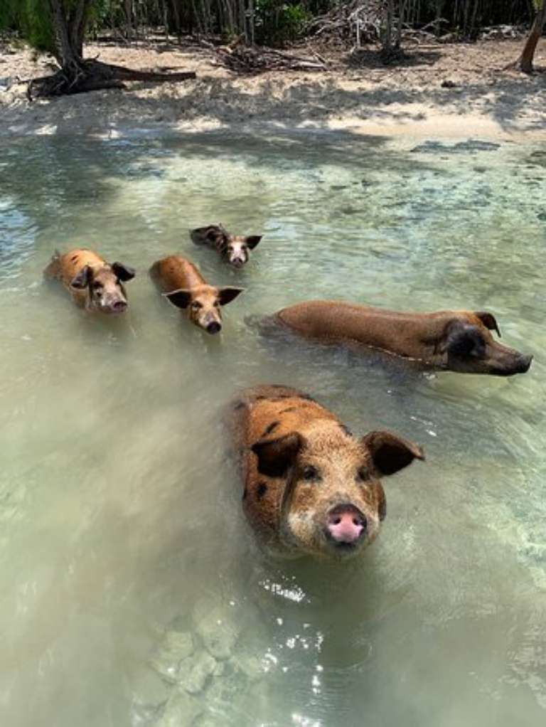 Spanish Wells Fishing