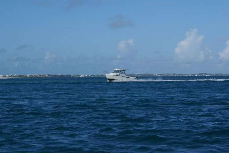 Discovery Tours and Adventures