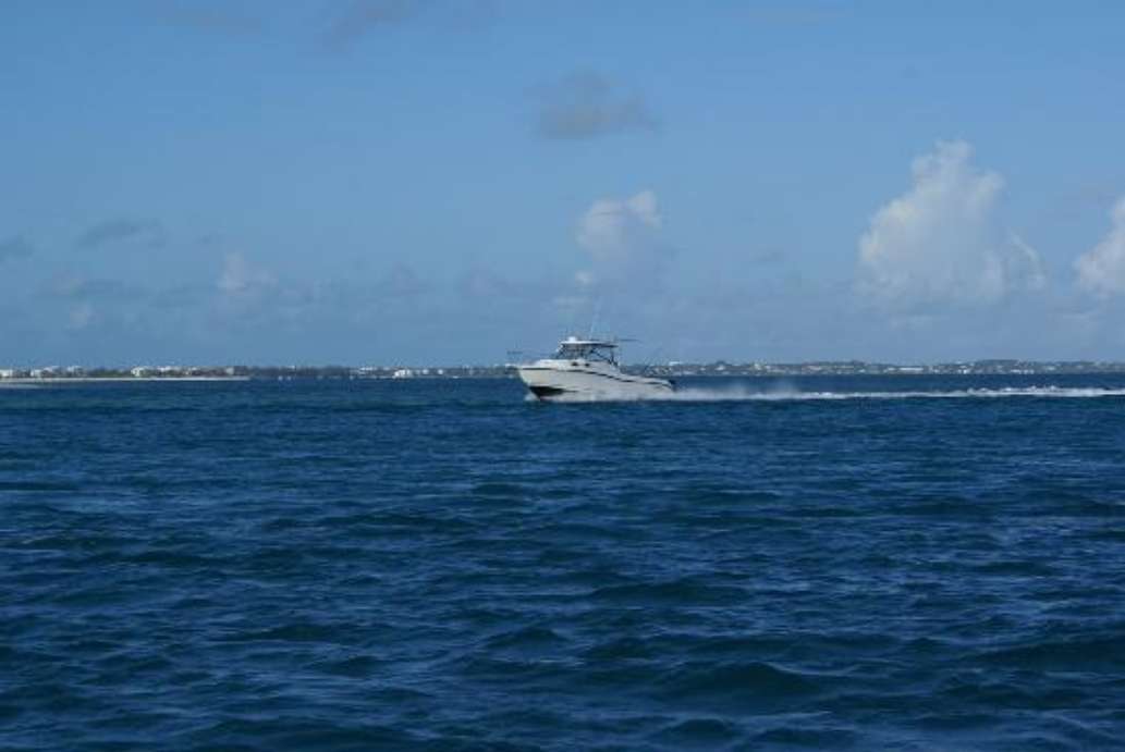 Discovery Tours and Adventures