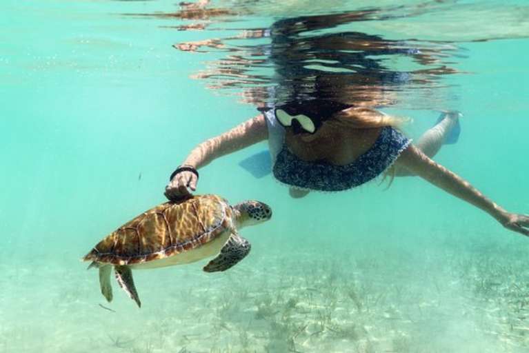 Da Salty Pig Adventures