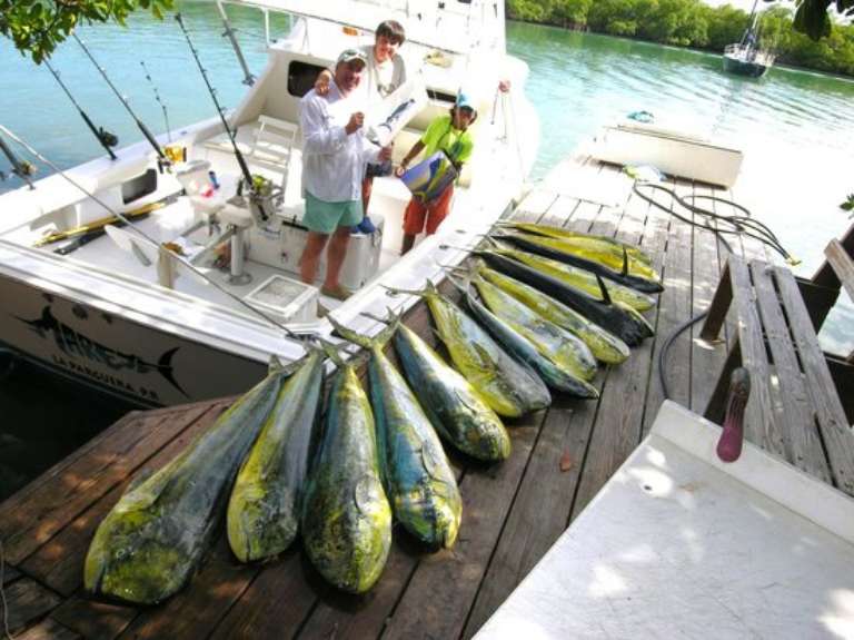 Parguera Fishing Charters