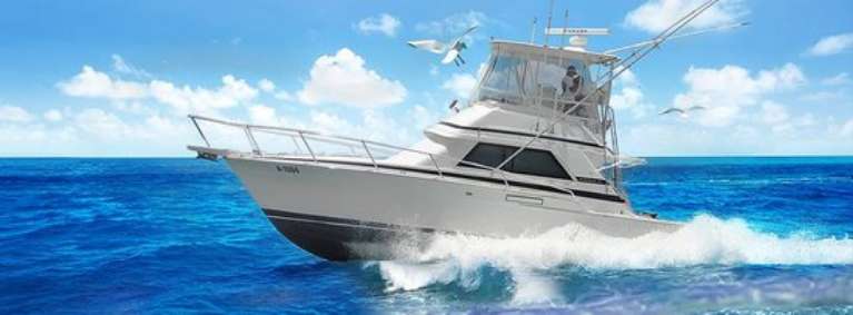 Living Easy Sport Fishing Charters Aruba