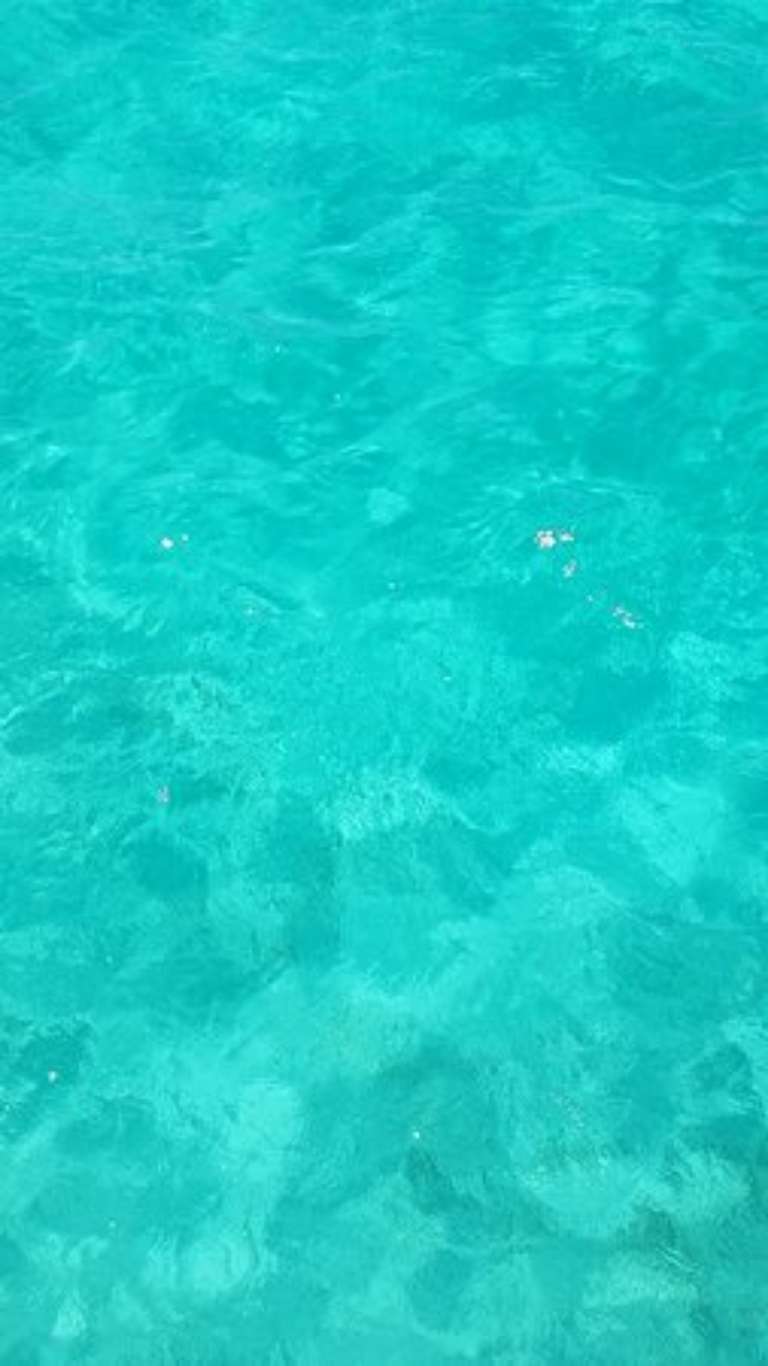 Big Marlin Charters Boca Chica