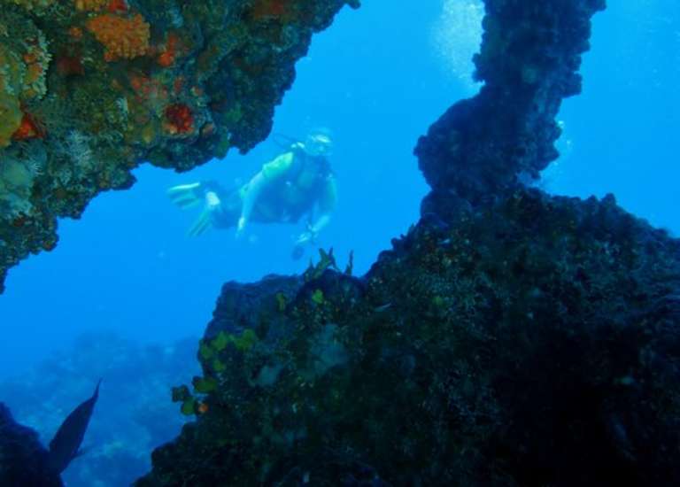 Sharks Friends Dive Center