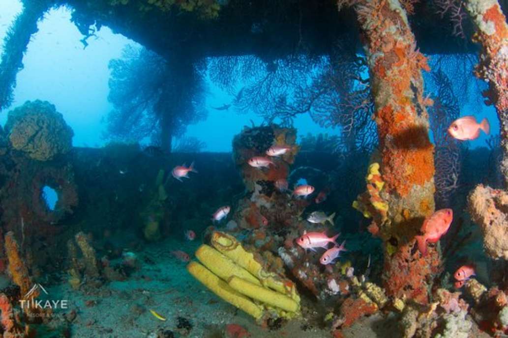 Island Divers
