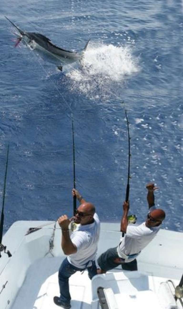 Puntacana Offshore Fishing
