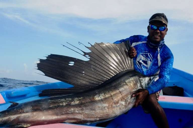Fish Tobago Tours