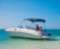 Crystal Charters