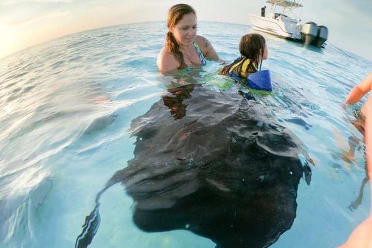 Infinity Private Charters