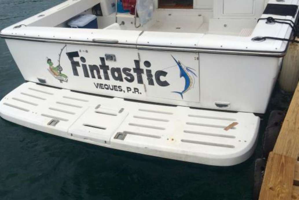 Fin Time Adventures