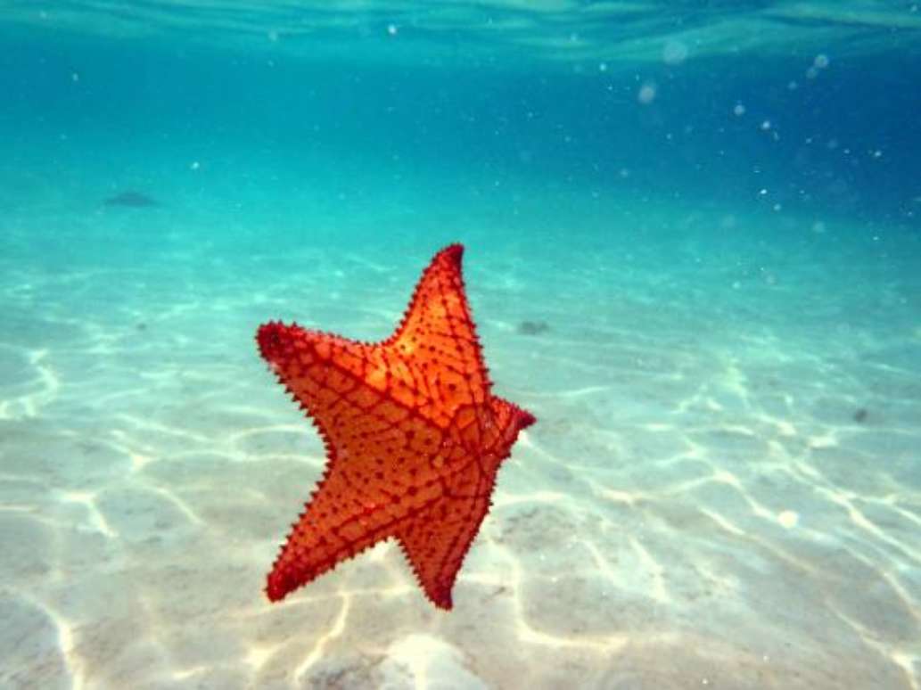 Eleuthera Tours