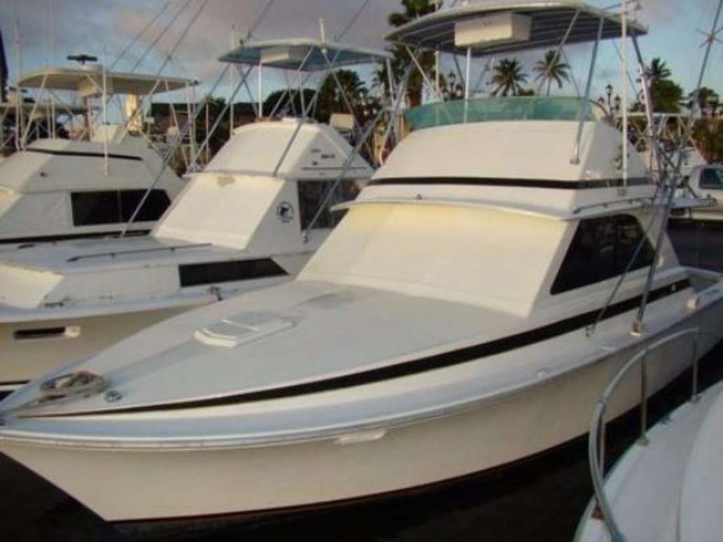 Teaser Charters
