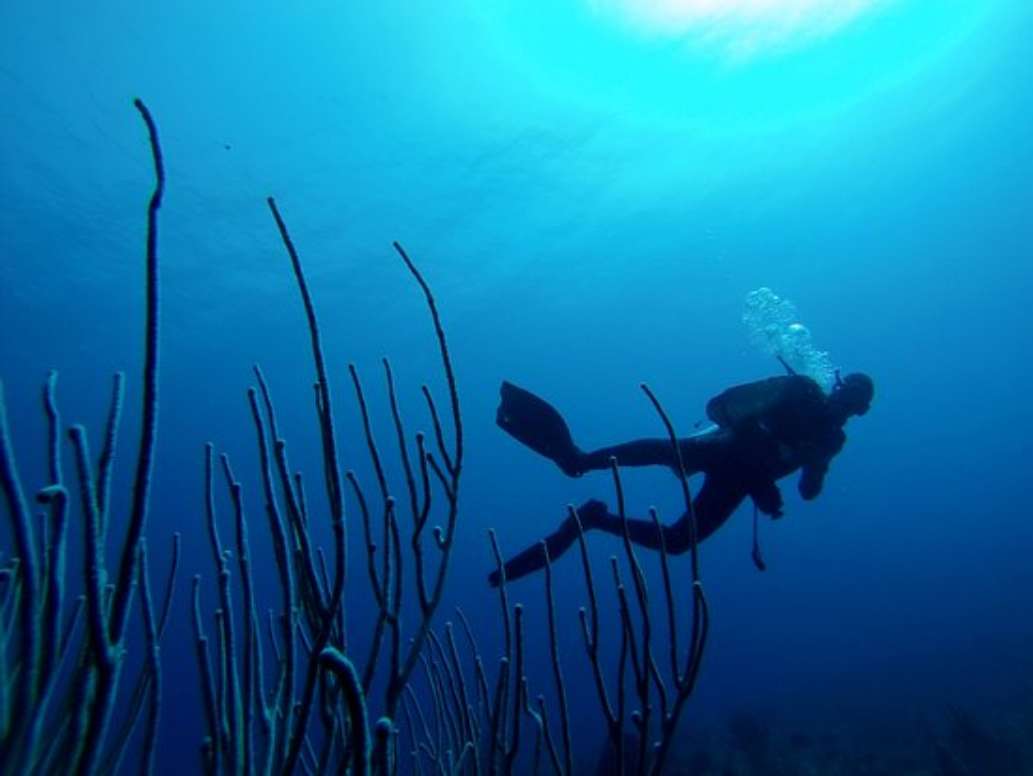 Happy Dive Center