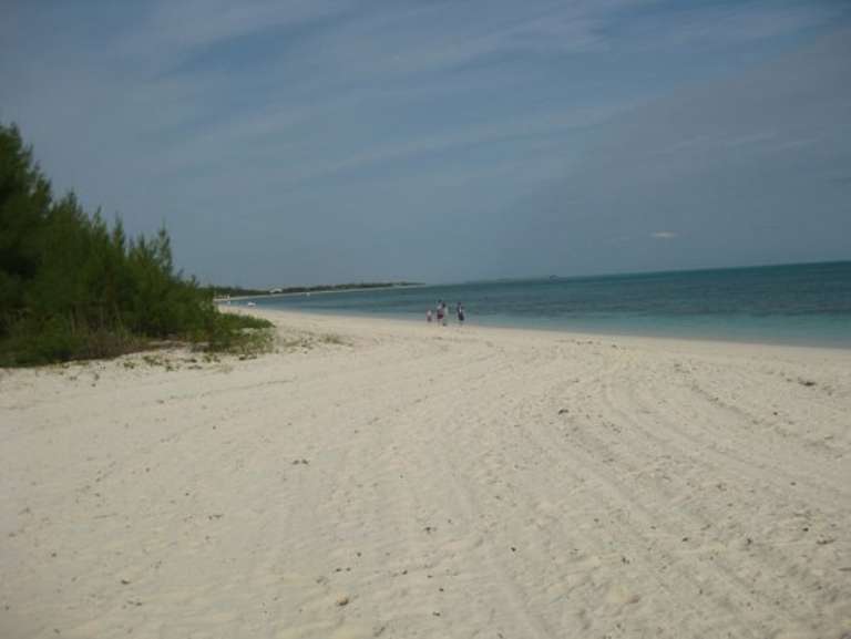 Bahamas Interisland Ecotours - Day Tours