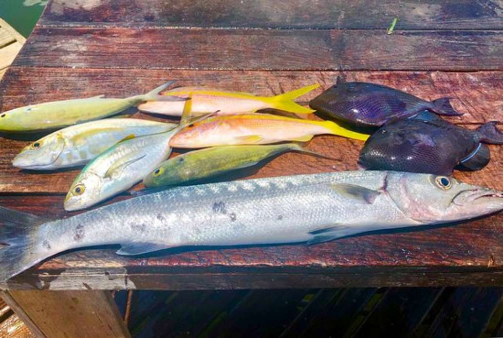 Reel Esea Charters