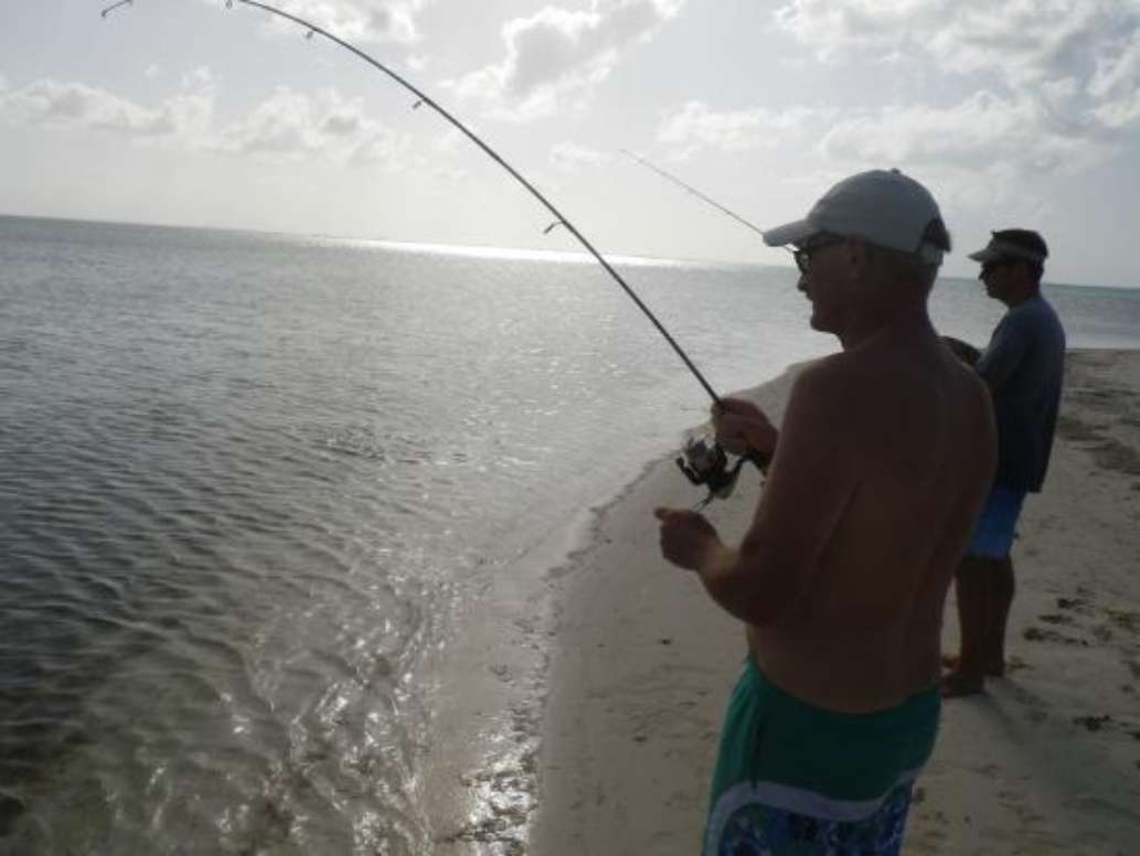Fish Tales