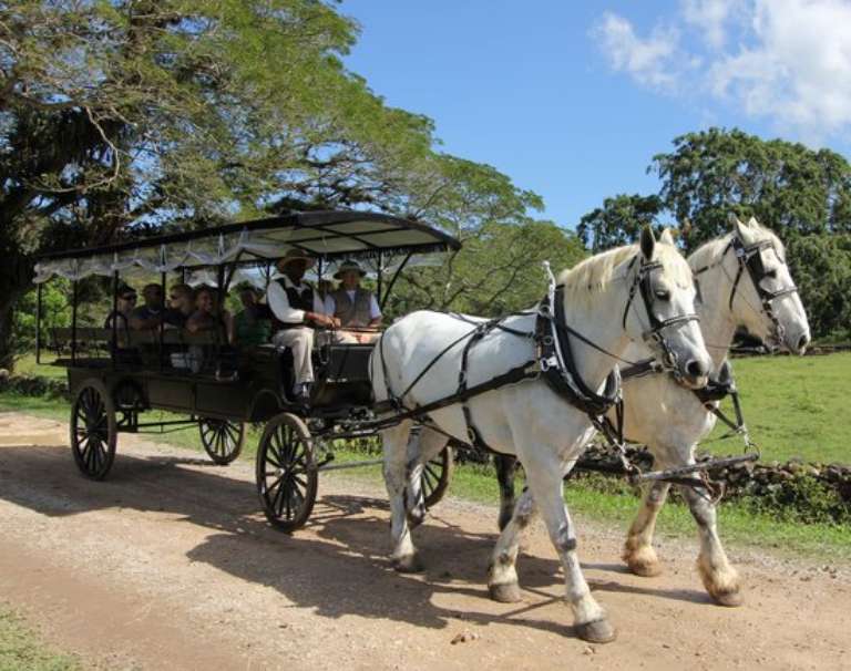 Chukka Caribbean Adventures