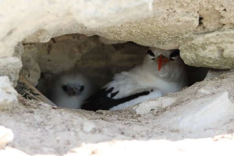 Lady K Luxury Yacht Charters