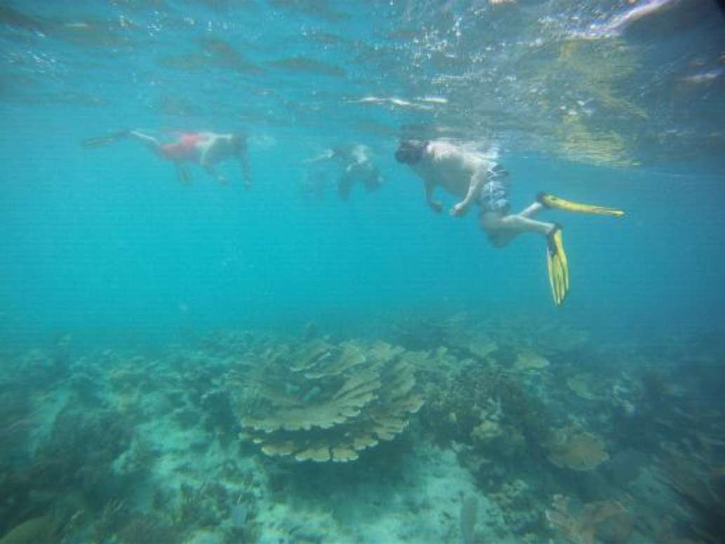 Papayo Divers