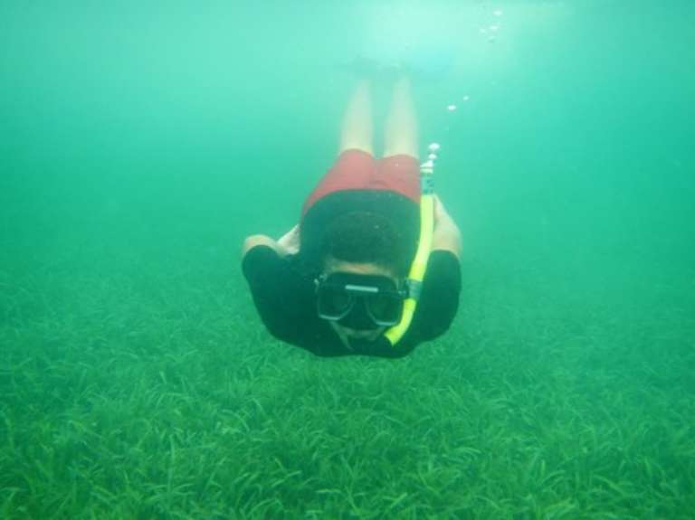 Pirate Snorkeling Shack