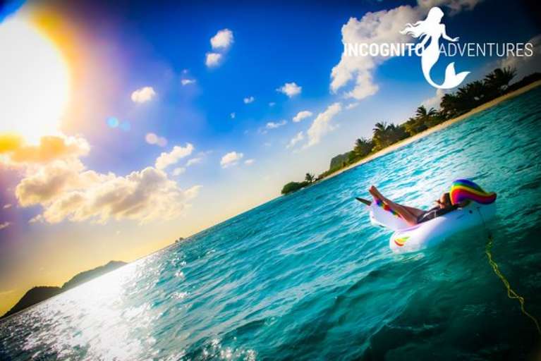 Incognito Adventures