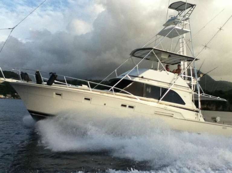 Captain Mike's - Sports Fishing and Whale Watching Tours