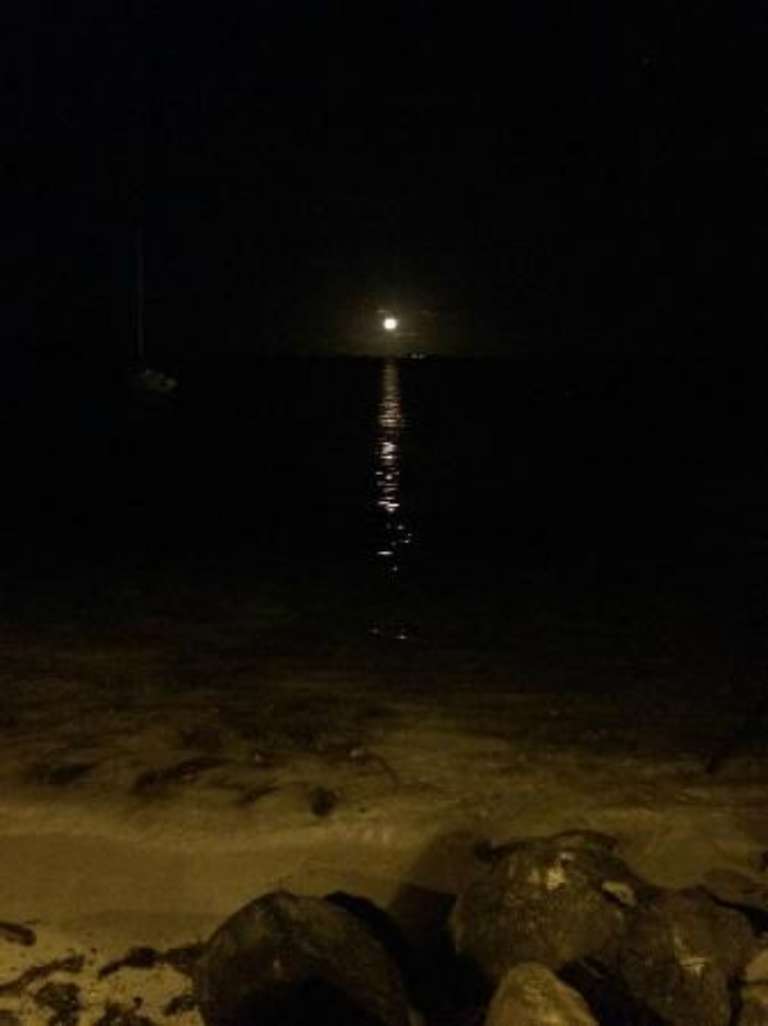 Las Tortugas Adventures