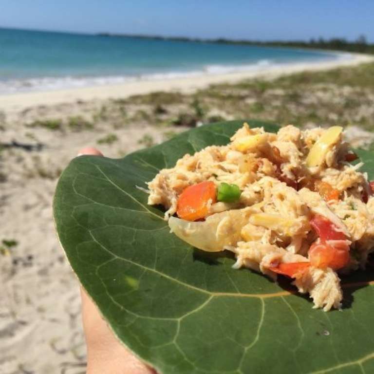 Captain Dennis Adventure Tours