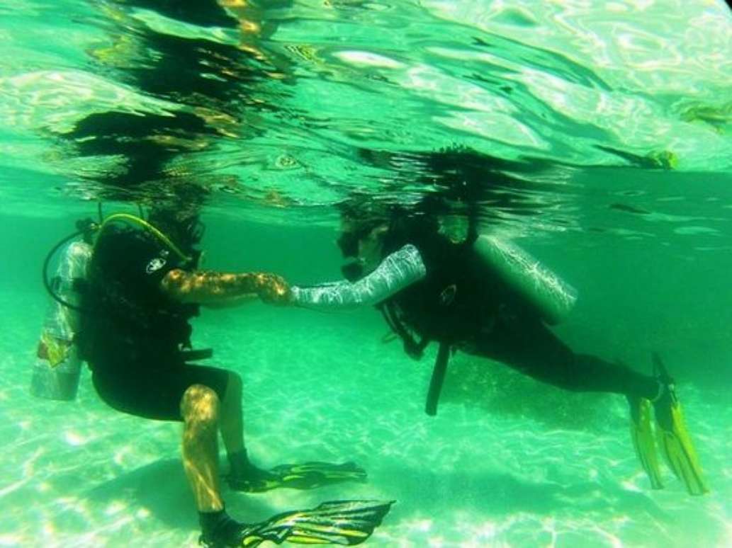 The Dive Academy