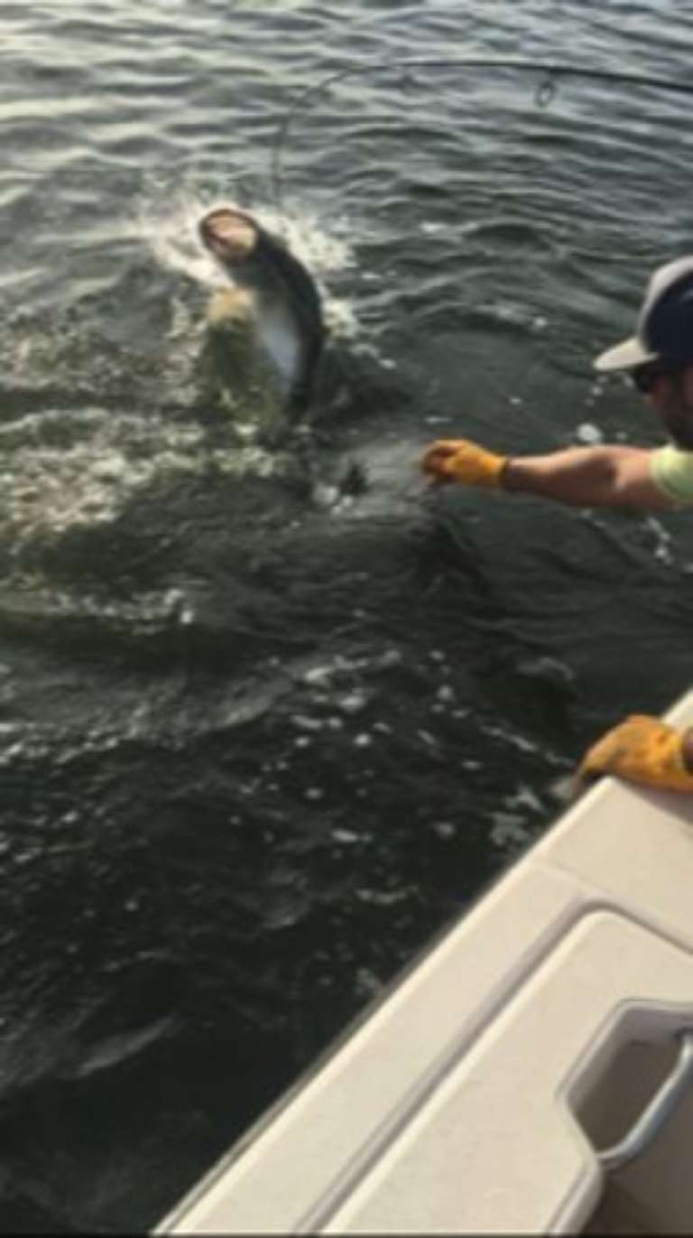 Boriken Fishing Charters