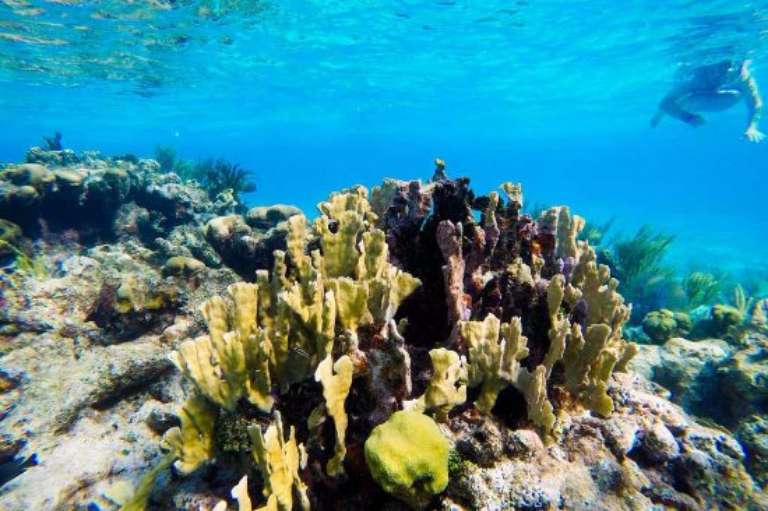 Island Splash Watersports