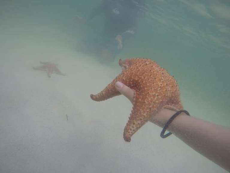 Native Way Watersports