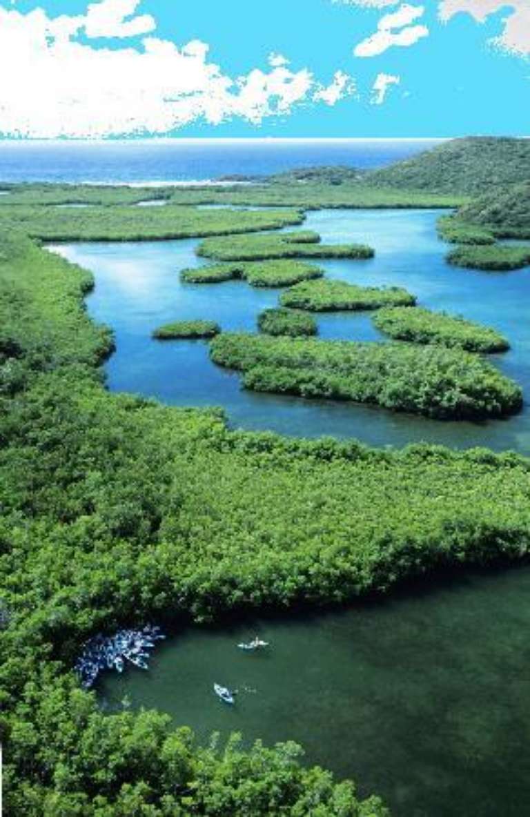 Virgin Islands Ecotours