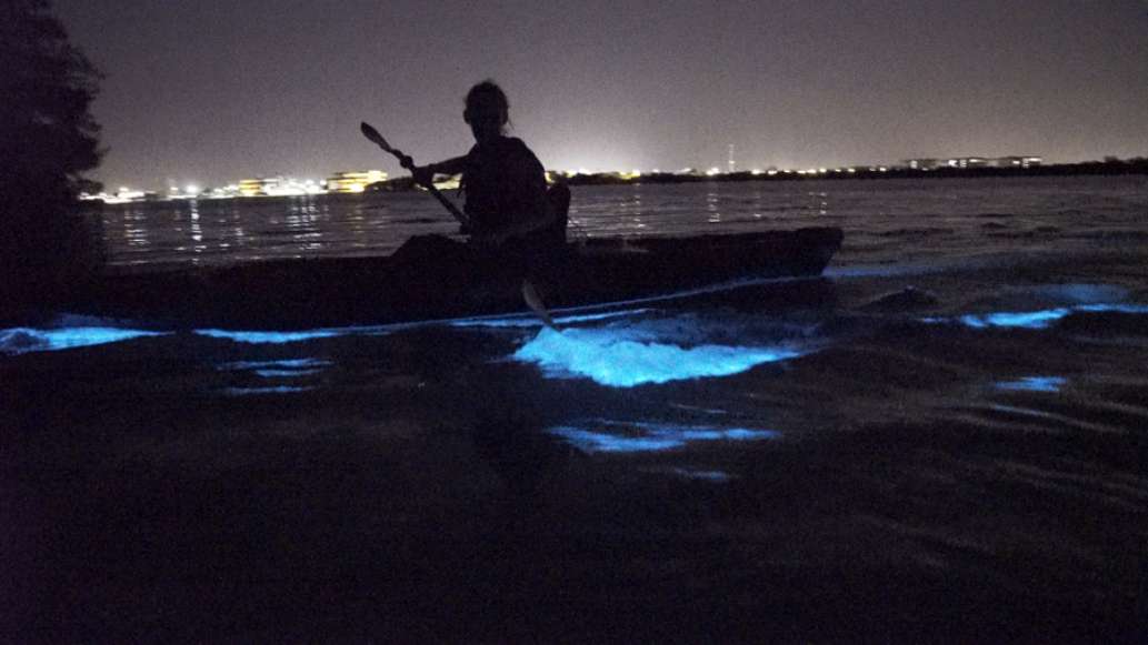 A Day Away Kayak Tours