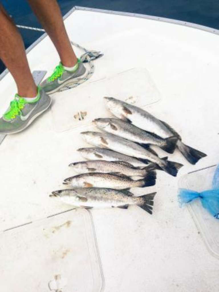 30A Inshore Charters