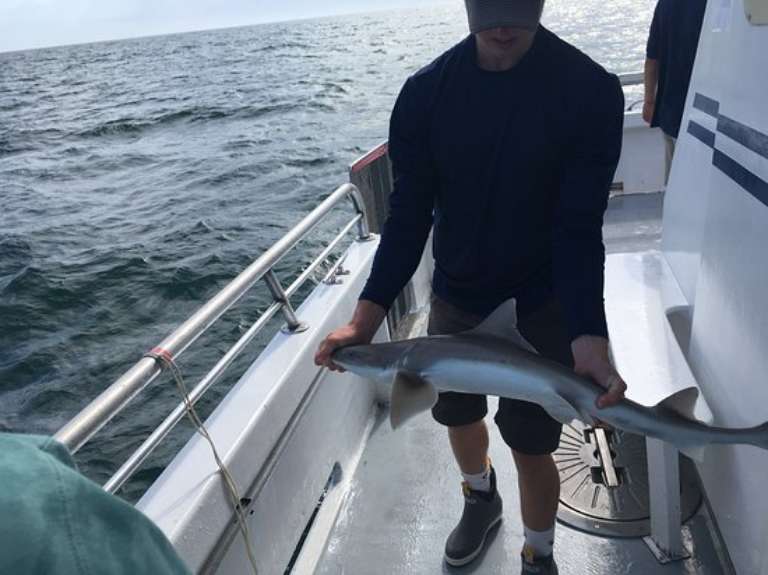 Yankee II Deep Sea Fishing