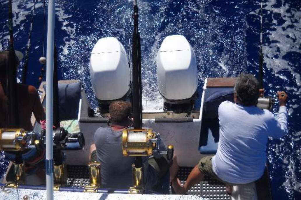 C. Hawk Sea Service