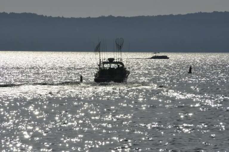 Daydreamer Fishing Charters