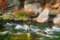 Yosemite Sierra Fly Fishing