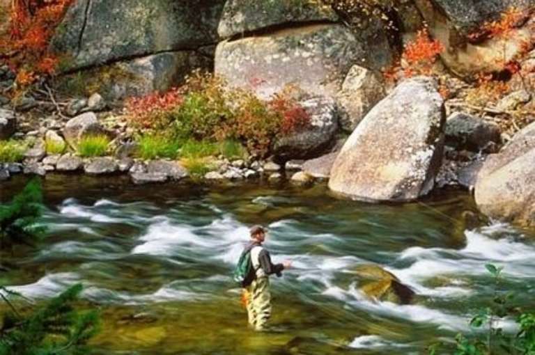 Yosemite Sierra Fly Fishing