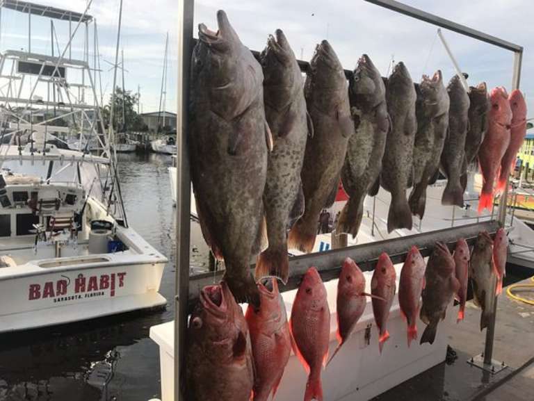 Bad Habit Sport Fishing Charters