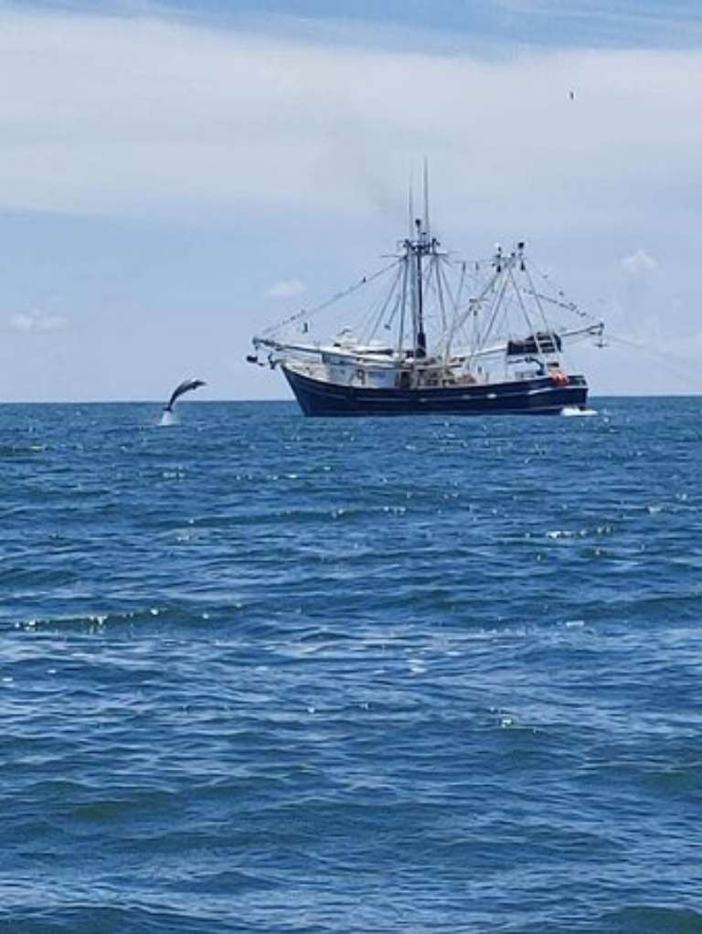 TailTamer Fishing Charters