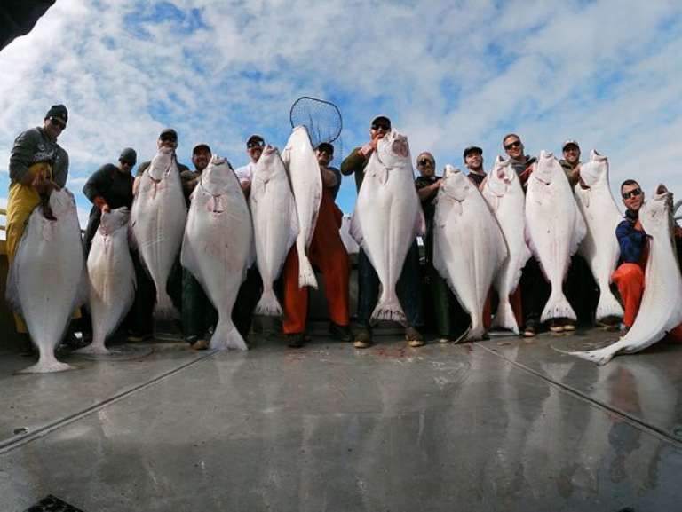 Alaska Northern Outfitters