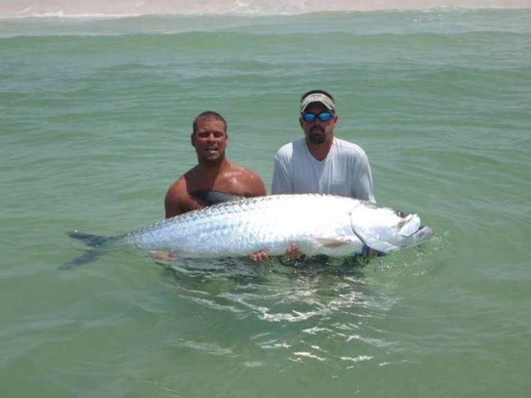 Last Local Guide Service