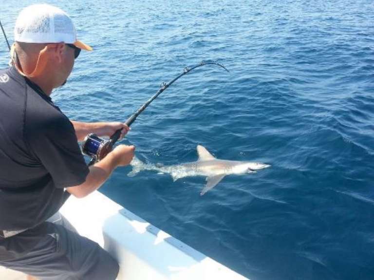 Destin Inshore Fishing Company, LLC