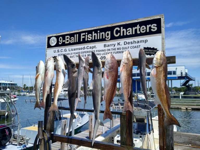 9-Ball Fishing Charters